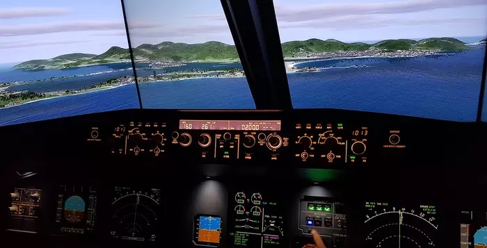 Flight simulation experience